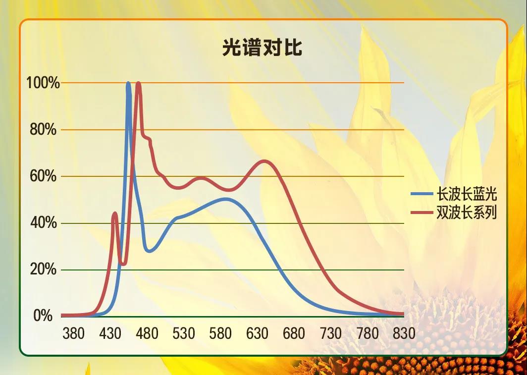 南宫NG娱乐(中国游)官方网站