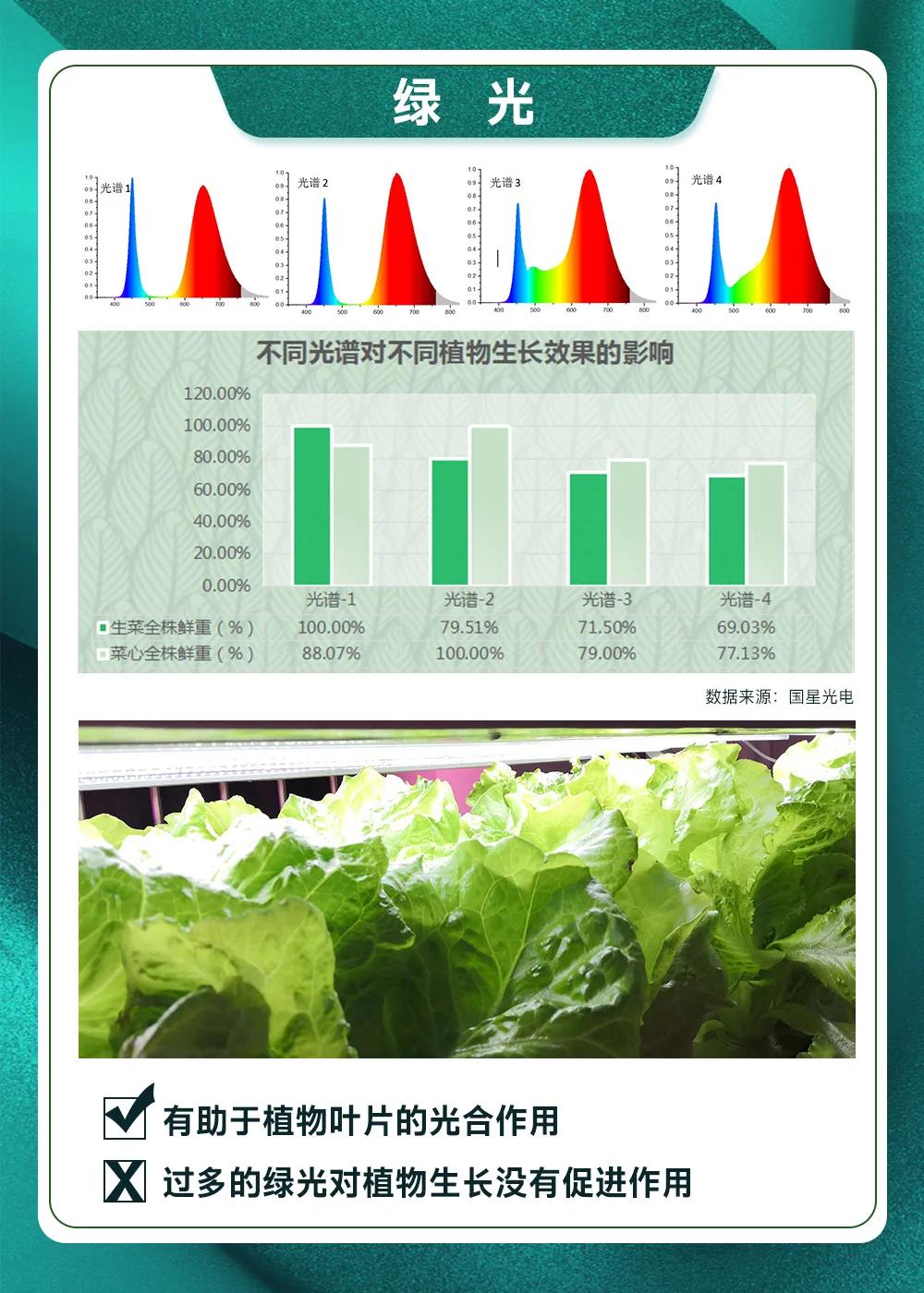 南宫NG娱乐(中国游)官方网站