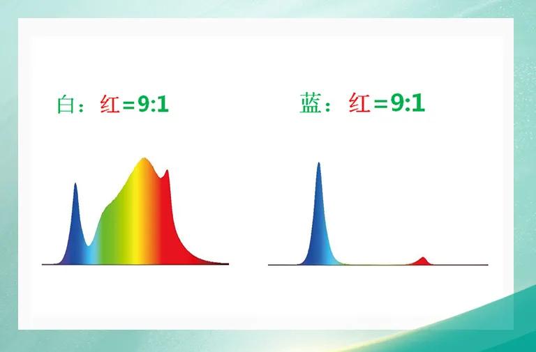 南宫NG娱乐(中国游)官方网站